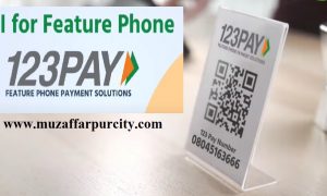 upi for feature phone